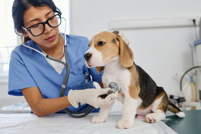 “I Can See Your Farts”: 60 Secrets From People’s Professions That Would Shock An Outsider
