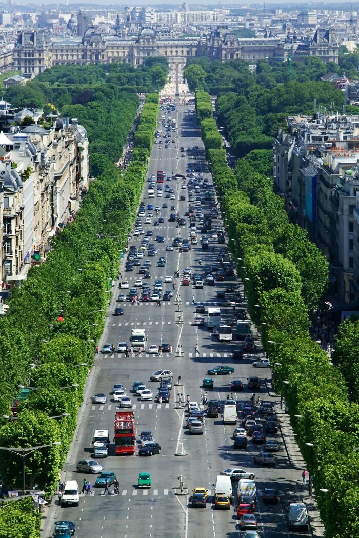 An aerial view of a grand avenue lined with trees and buildings, a popular tourist destination in the US.