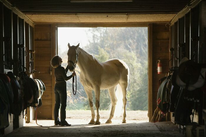 Woman with a horse in a stable, contemplating the absurd and stupid things people said.