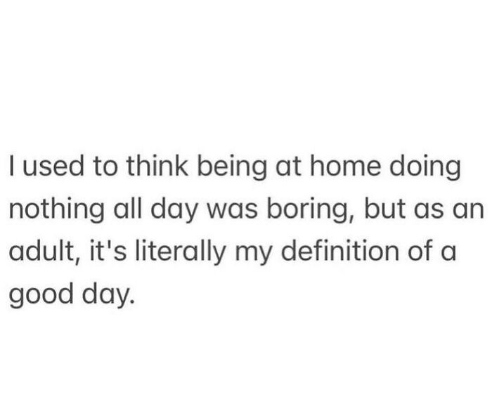 A relatable meme about adults who still don’t know what they’re doing, defining a good day as doing nothing.