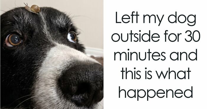 107 Wholesome Animal Photos That Might Restore Your Faith In The Internet