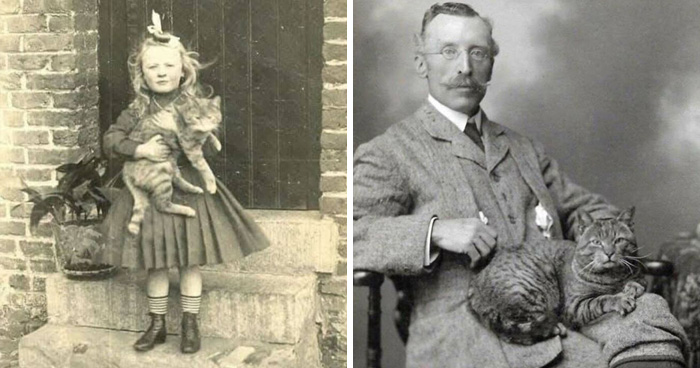 30 Vintage Photos That Prove Cats Have Always Stolen The Show, As Shared By This Page