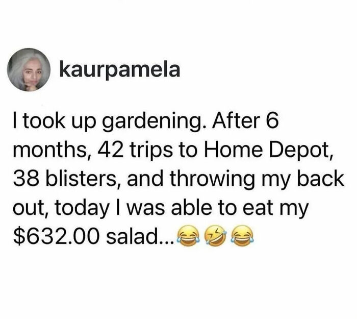 A social media post with a funny anecdote about the expensive cost of gardening for hilarious photos.