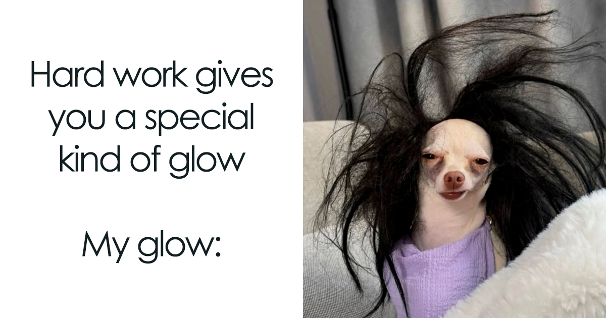 54 Hilarious Dog Memes That Prove Dogs Are Natural-Born Comedians, As Shared By This Page 54 Hilarious Dog Memes That Prove Dogs Are Natural-Born Comedians, As Shared By This Page