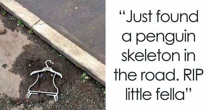 63 Out-Of-Context British Humor Posts That Deliver Endless Nose Exhales And Unfiltered Irony (New Pics)