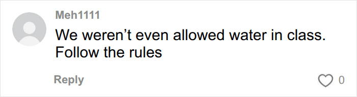 A comment on an article about an honors student suspension, saying students were not allowed water and to follow rules.