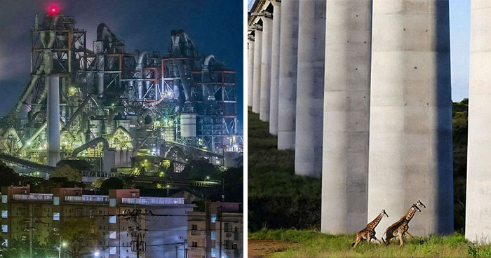 Not Everyone Is Terrified Of Massive Objects, But These 75 Pics Might Have You Thinking Otherwise