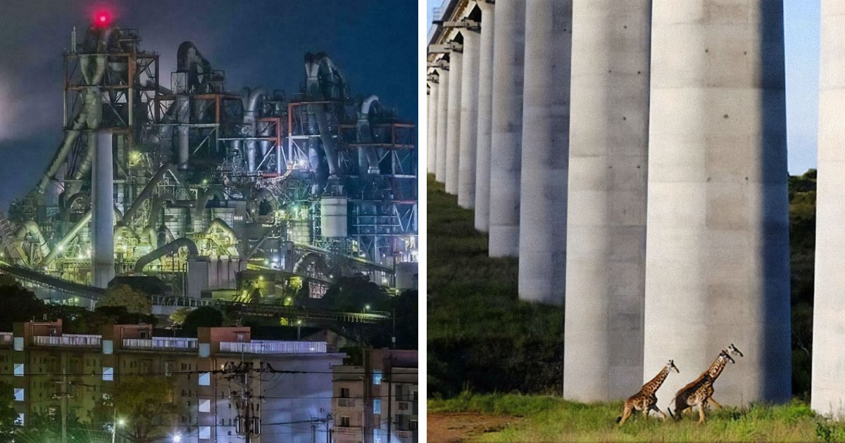 Not Everyone Is Terrified Of Massive Objects, But These 75 Pics Might Have You Thinking Otherwise