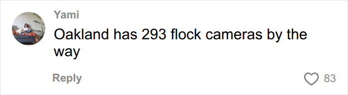 Comment mentioning Oakland&rsquo;s 293 flock cameras in disappearance case