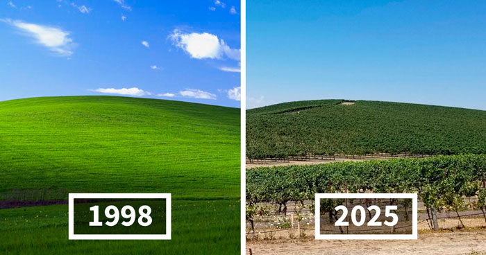 People Are Shocked When They Find Out How The Iconic Window XP Wallpaper Hill Looks Now