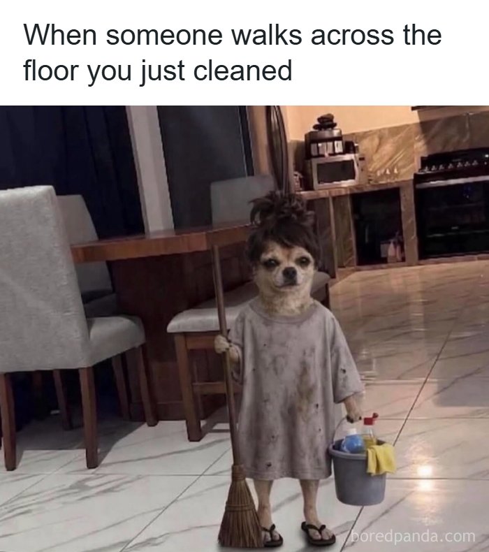 A meme of a dog dressed as a cleaner, capturing the relatable feeling of frustration after cleaning.