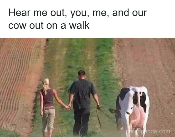 Hilarious-Redneck-Memes