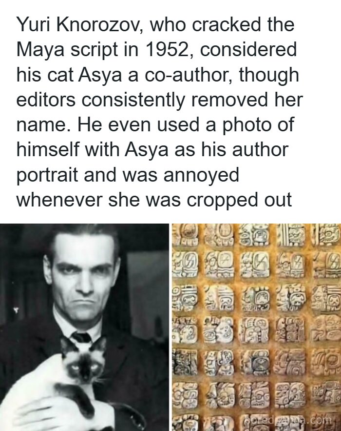 A black and white photo of Yuri Knorozov holding his cat Asya, with Maya script hieroglyphs next to it, relating to funny memes.