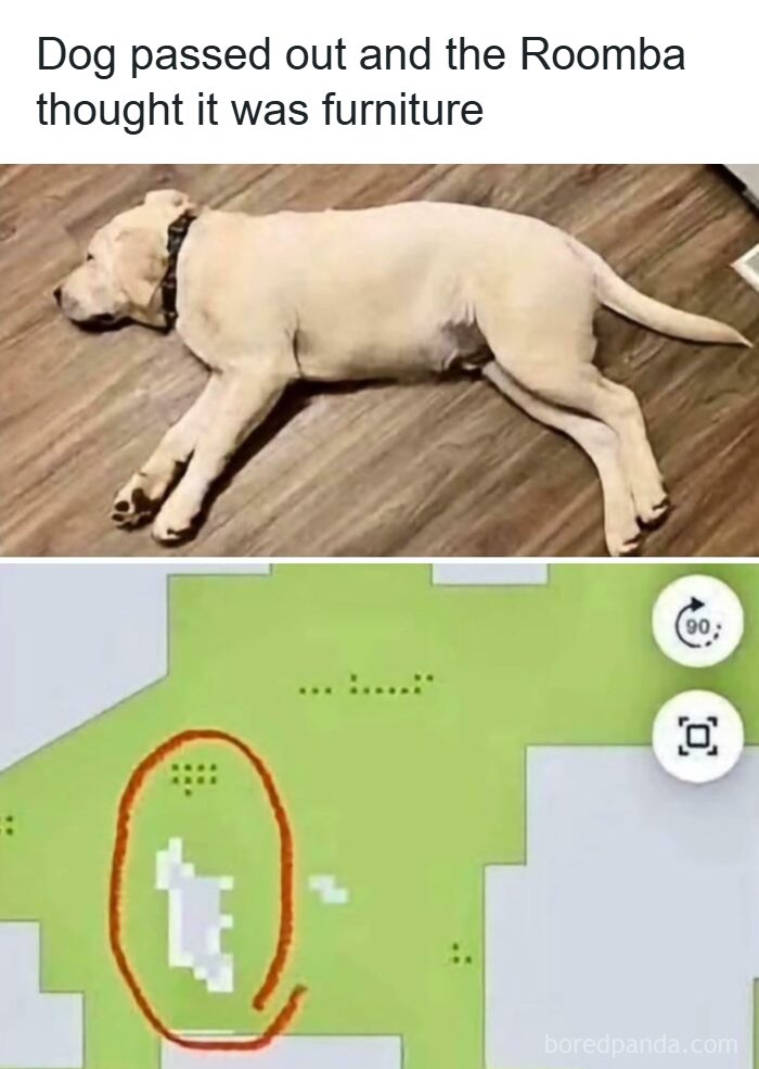 Funny meme of a Roomba mistaking a sleeping dog for furniture, perfect for a hard day.
