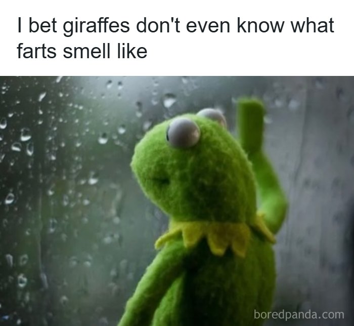 A funny meme featuring Kermit the Frog looking out a rainy window, pondering if giraffes know what farts smell like.