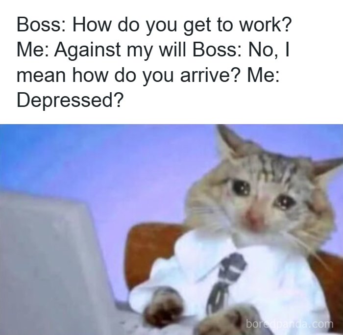Sad cat in business attire at laptop memes feeling depressed about work commute