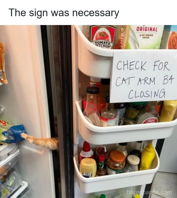A cat's arm reaching out from a refrigerator with a sign that says CHECK FOR CAT ARM B4 CLOSING, a funny meme.