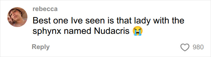 A social media comment about ridiculous pet names, mentioning a sphinx cat named Nudacris, shared by a vet. A social media comment about ridiculous pet names, mentioning a sphinx cat named Nudacris, shared by a vet.