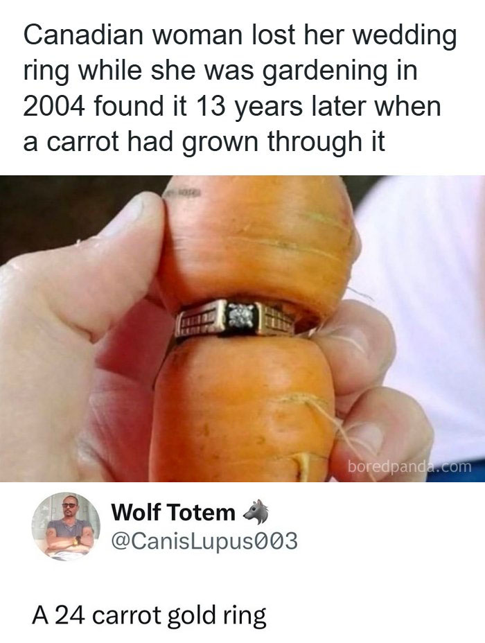 A hand holding a carrot with a wedding ring grown through it, showing a perfect reply in the comments.