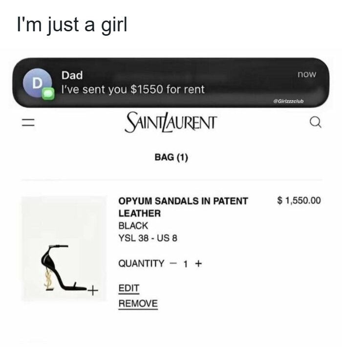 A screenshot showing rent money spent on designer shoes, showing funny memes about being a woman