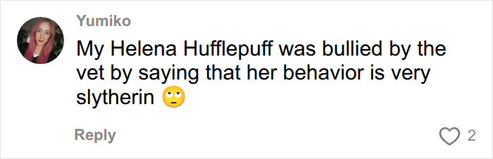 A social media comment about ridiculous pet names, describing a pet named Helena Hufflepuff bullied by a vet. A social media comment about ridiculous pet names, describing a pet named Helena Hufflepuff bullied by a vet.