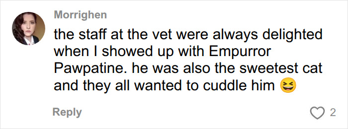 A comment from Morrign about a cat named Empurror Pawpatine being adored by vet staff. The vet shares ridiculous pet names. A comment from Morrign about a cat named Empurror Pawpatine being adored by vet staff. The vet shares ridiculous pet names.