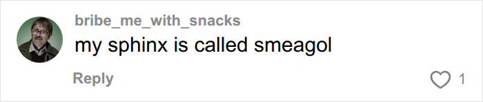 A social media comment discussing ridiculous pet names, mentioning a sphinx cat named Smeagol. A social media comment discussing ridiculous pet names, mentioning a sphinx cat named Smeagol.