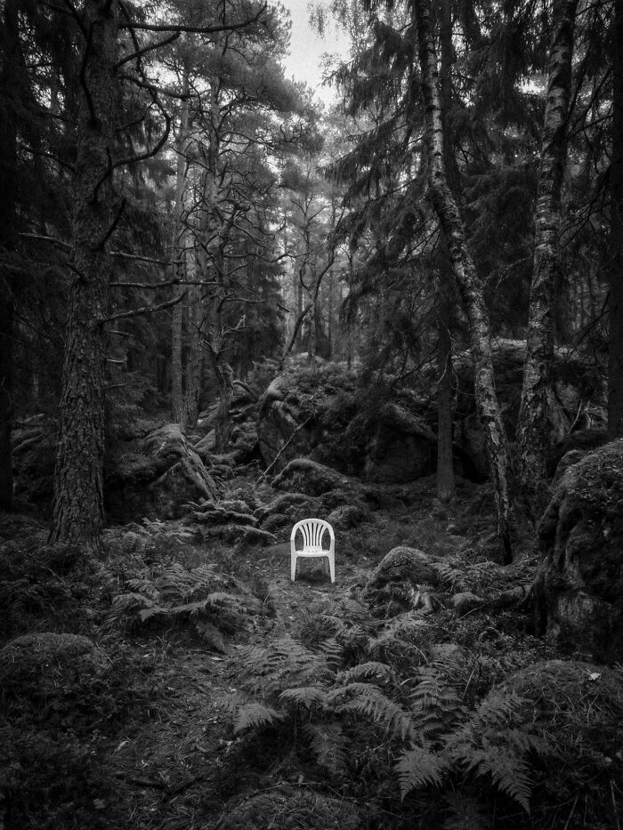 A lone white chair sits in a surreal and dystopian dark forest, captured by Marcus Wallinder.