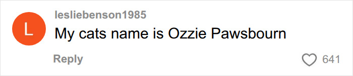 A social media comment about a cat named Ozzie Pawsbourn, an example of a ridiculous pet name. A social media comment about a cat named Ozzie Pawsbourn, an example of a ridiculous pet name.