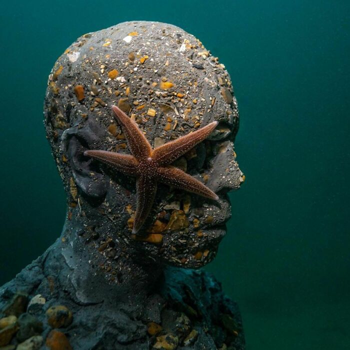 An underwater sculpture with a starfish on its face, showcasing marine life and artistic ocean floor.