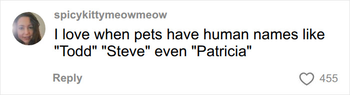 A social media comment loving human names like Todd, Steve, and Patricia for pets, discussing funny pet names. A social media comment loving human names like Todd, Steve, and Patricia for pets, discussing funny pet names.