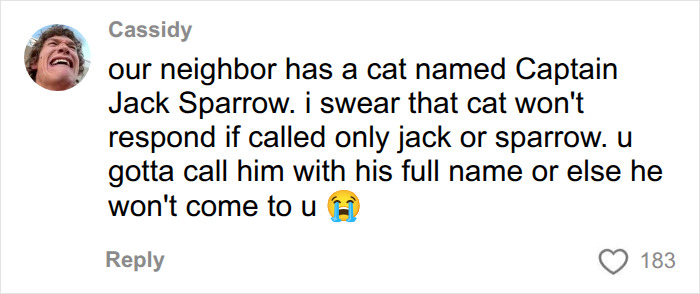 A comment about a cat named Captain Jack Sparrow, highlighting ridiculous pet names. A comment about a cat named Captain Jack Sparrow, highlighting ridiculous pet names.