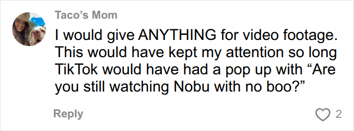 A user comment on video game with quests first date mentioning TikTok and Nobu A user comment on video game with quests first date mentioning TikTok and Nobu
