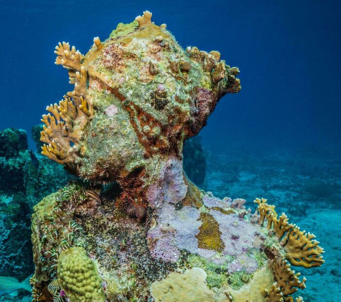 Underwater sculpture covered in colorful coral and marine growth, creating an art gallery on the ocean floor.