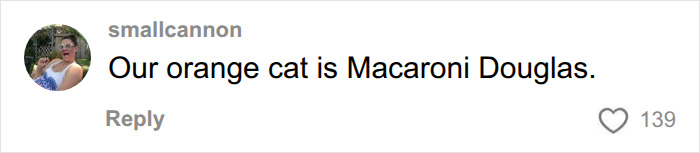 A social media comment revealing a cat's name is Macaroni Douglas, showcasing funny pet names. A social media comment revealing a cat's name is Macaroni Douglas, showcasing funny pet names.