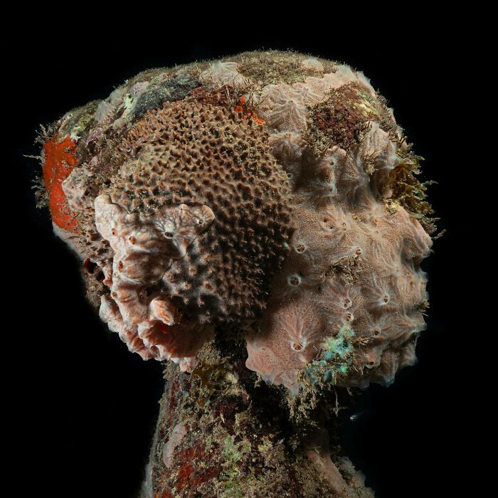 Close-up of an underwater sculpture, part of an art gallery supporting marine life.