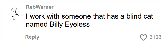 A social media comment discussing funny pet names, specifically a blind cat named Billy Eyeless, shared by a vet. A social media comment discussing funny pet names, specifically a blind cat named Billy Eyeless, shared by a vet.