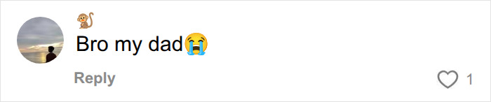 A comment about Lily Phillips' stunt, with a viewer expressing a strong emotional reaction regarding the adult industry. A comment about Lily Phillips' stunt, with a viewer expressing a strong emotional reaction regarding the adult industry.