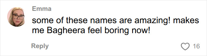 A social media comment about ridiculous pet names, with a user stating their pet Bagheera feels boring. A social media comment about ridiculous pet names, with a user stating their pet Bagheera feels boring.