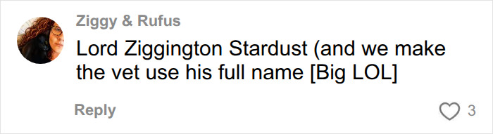 A social media comment on ridiculous pet names, highlighting Lord Ziggington Stardust and a vet using his full name. A social media comment on ridiculous pet names, highlighting Lord Ziggington Stardust and a vet using his full name.