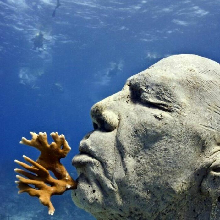 Close-up of an underwater sculpture of a face with coral growing from its mouth, showcasing marine life art.