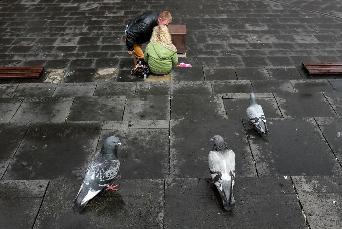 Jeffrey De Keyser's street photography captures pigeons on wet pavement while a couple sits in the background.