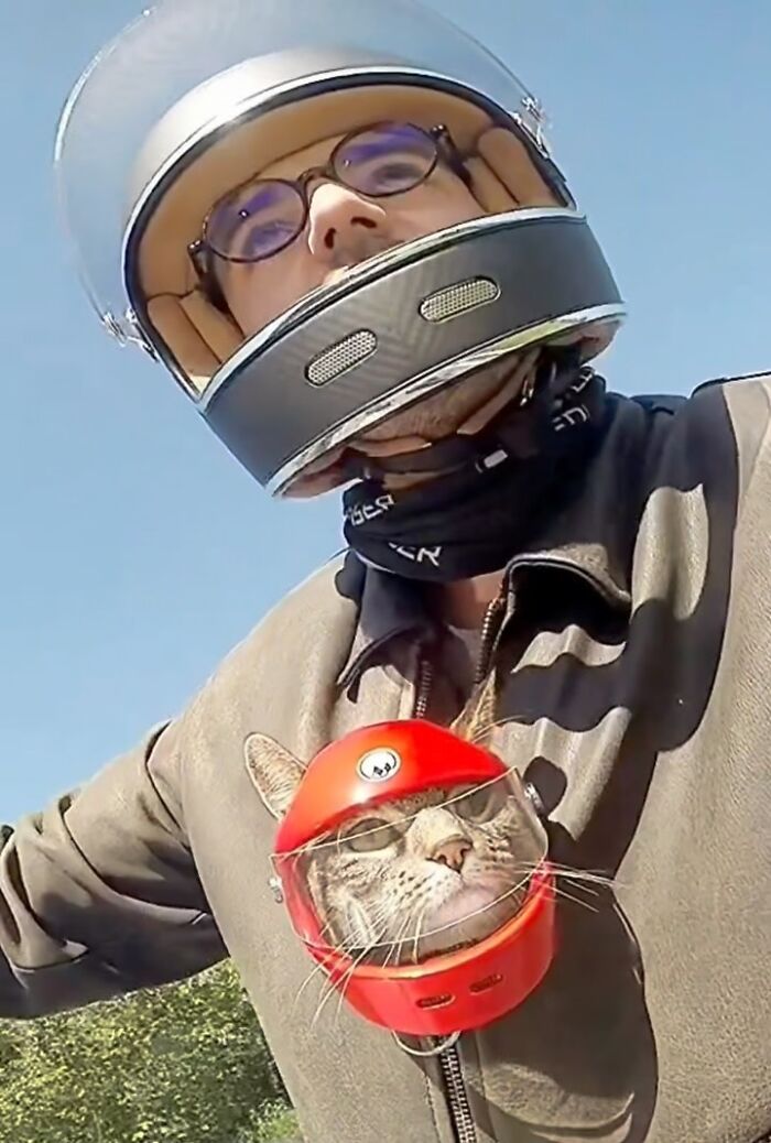 Owner and cat in matching helmets ready for crazy adventures on a motorbike, showcasing their journey together.