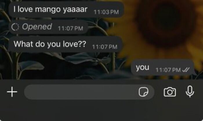 Romantic chat exchange revealing love between two starry-eyed lovers