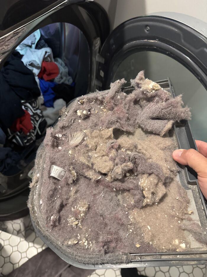 A hand holding a laundry lint trap full of dust, representing unhinged things wives do.
