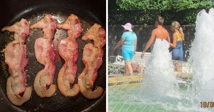 100 Photos People Are Glad They Took, As Nobody Would’ve Believed Their Word 