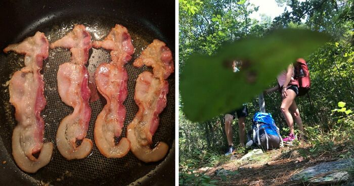 100 Extremely Unlikely Moments That People Somehow Managed To Capture