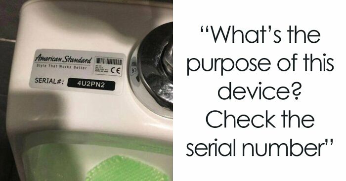100 Extremely Unlikely Moments That People Somehow Managed To Capture