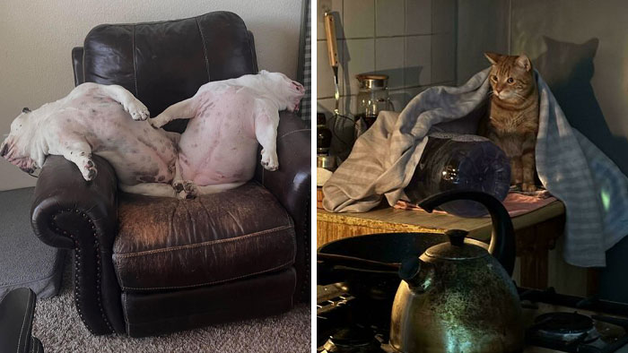 “Accidental Renaissance”: 102 Photos That Look Like They Should Belong In A Museum (New Pics)