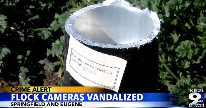 56 Chaotic Good Acts That Were Equal Parts Mischievous And Magnificent